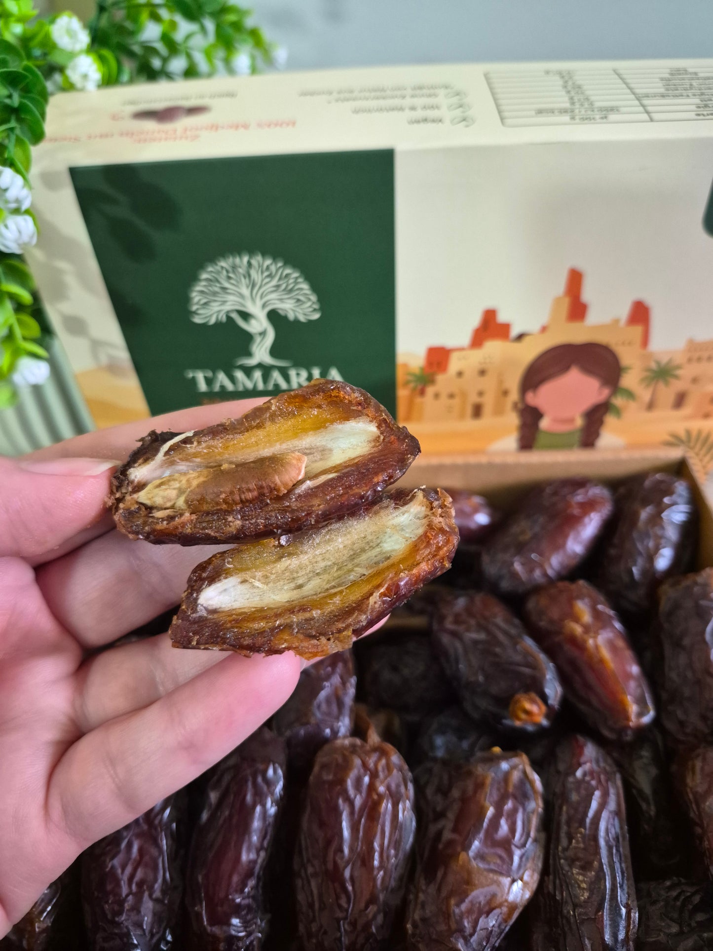 تماريا إيفري داي مجدول